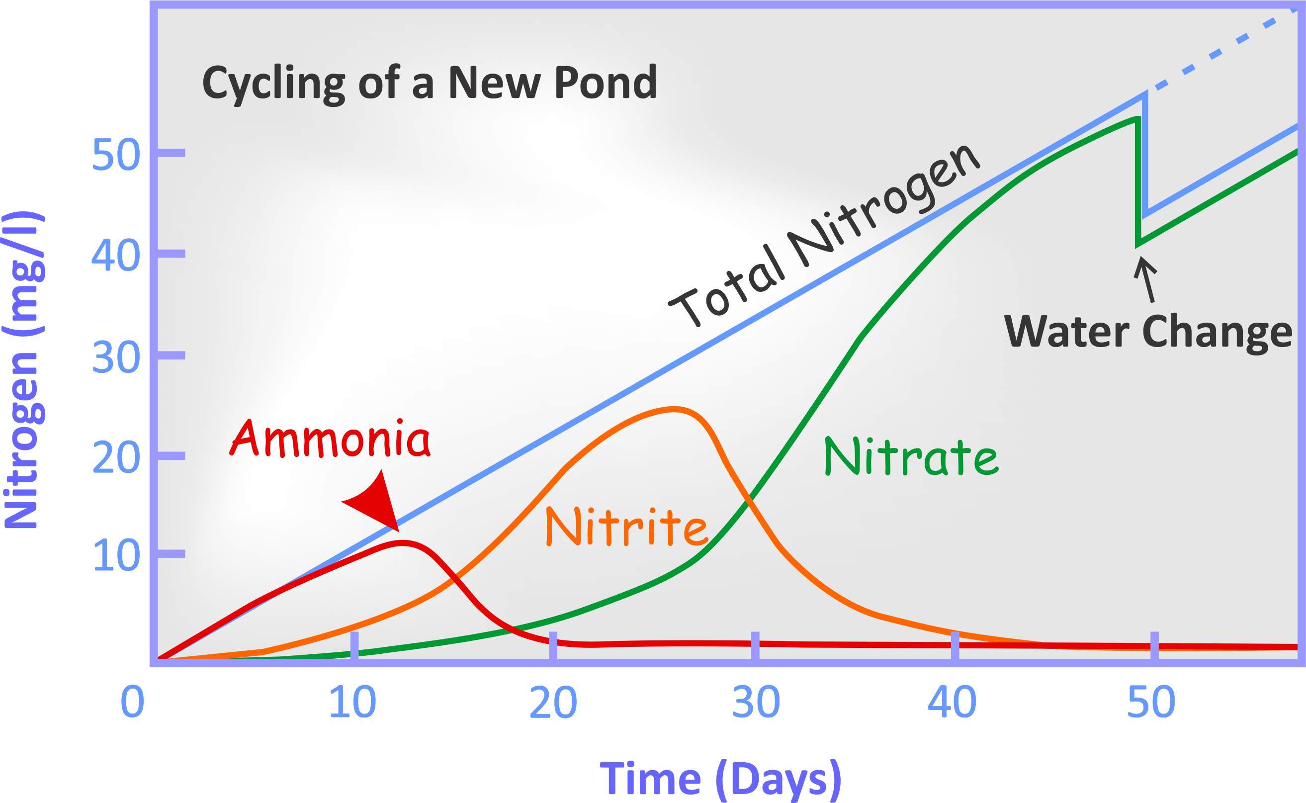What is the bio cycle within your pond?